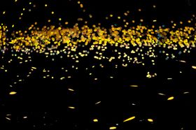 金色萤光光点