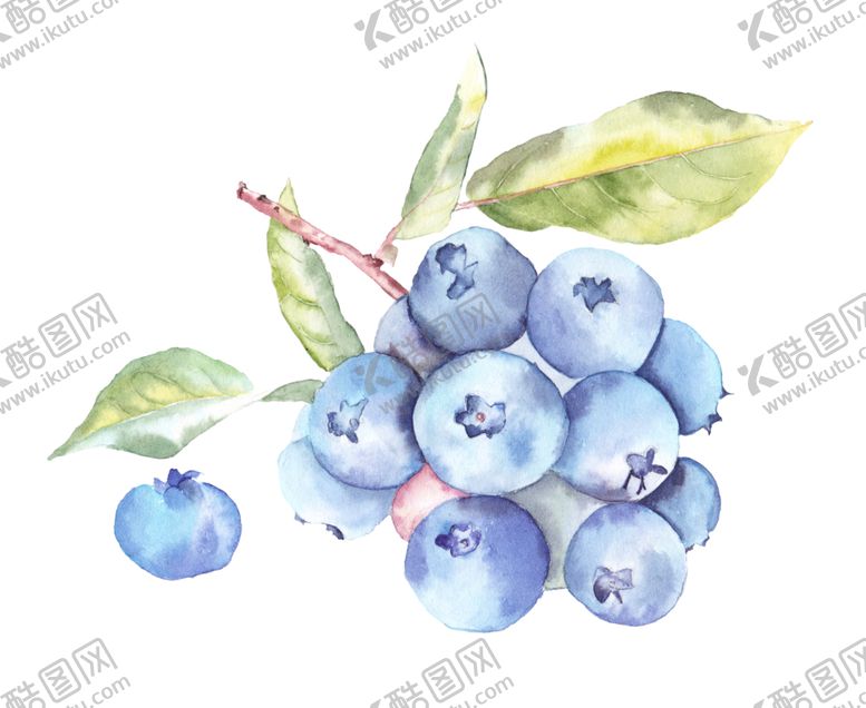 编号：24192710021326313725【酷图网】源文件下载-水果