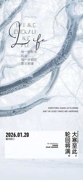 地产大寒立春意境海报