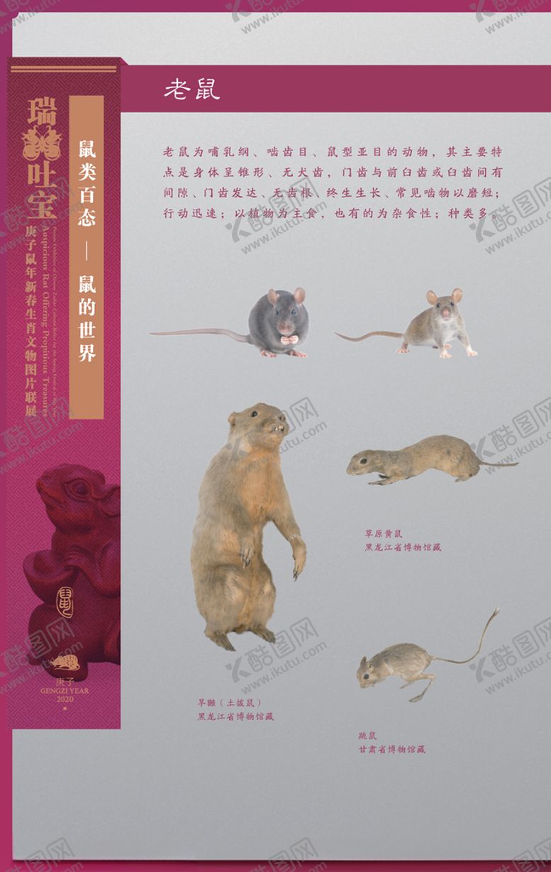 编号：48301610220559364439【酷图网】源文件下载-生肖展