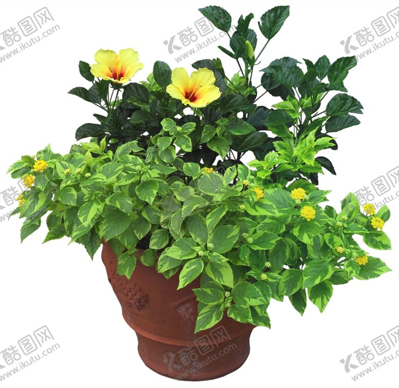 编号：88541406232115001566【酷图网】源文件下载-免扣植物树木素材图片