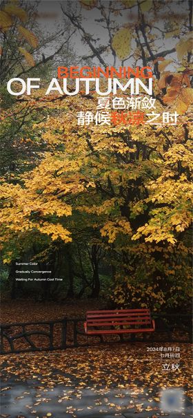 立秋节气海报简约宣传二十四枫叶