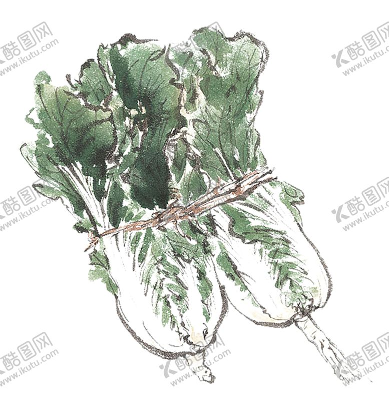 编号：49711110101756325336【酷图网】源文件下载-绿色装饰