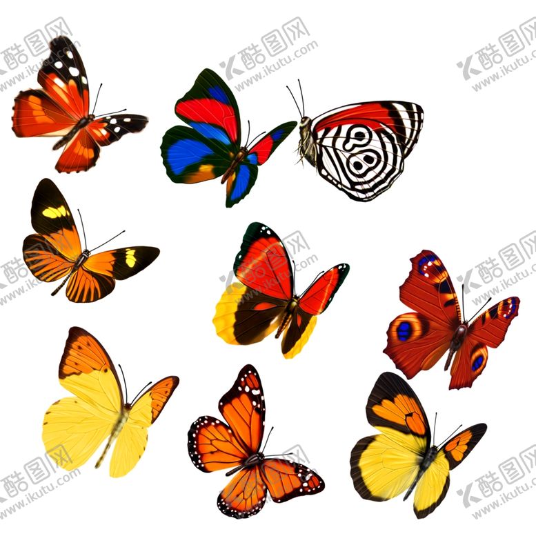 编号：20476507070744258042【酷图网】源文件下载-蝴蝶