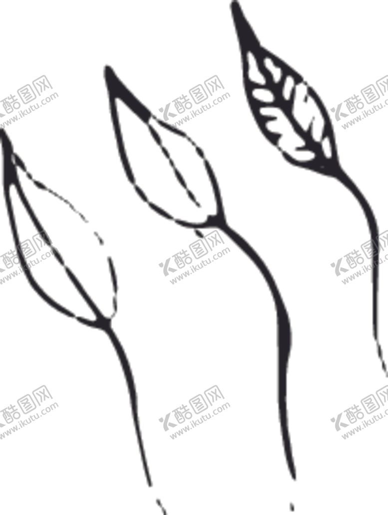 编号：81631110060717426637【酷图网】源文件下载-手绘花卉元素