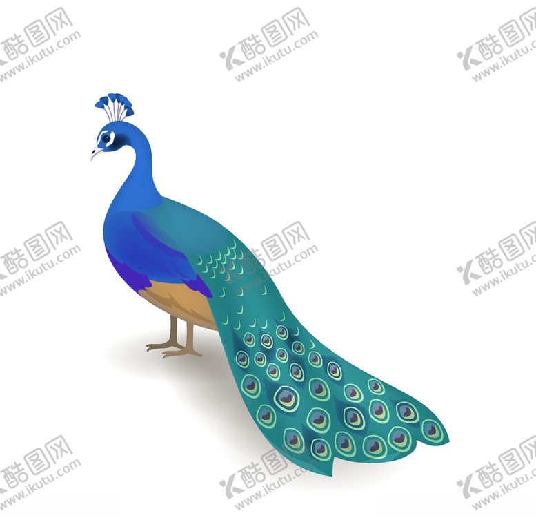 编号：33119209281822484016【酷图网】源文件下载-孔雀