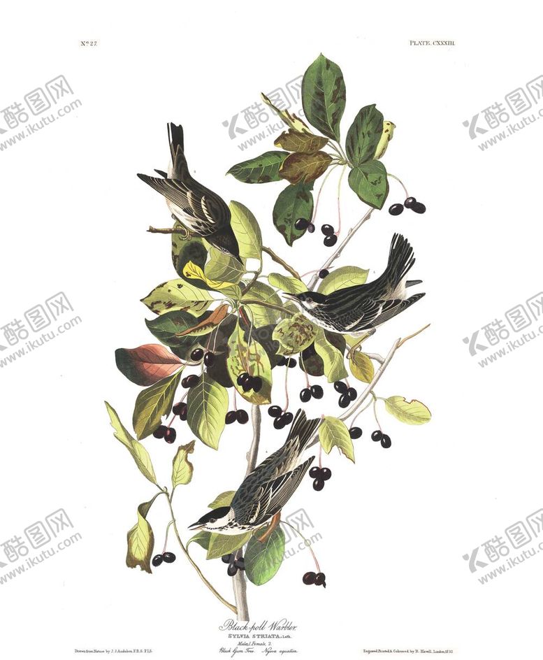 编号：38369212041314409911【酷图网】源文件下载-油画