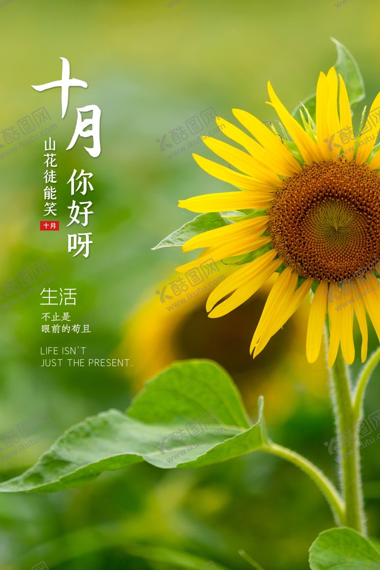 编号：95720212060625176269【酷图网】源文件下载-十月你好