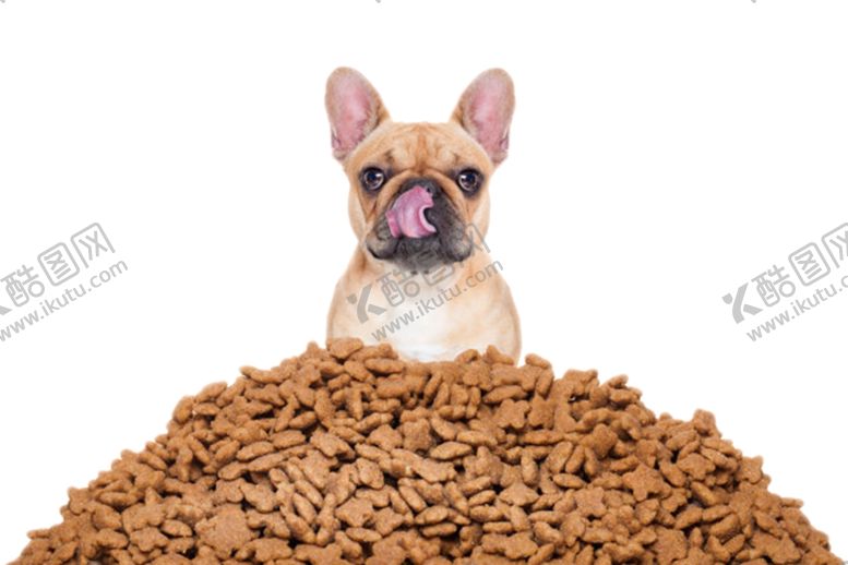 编号：23765209210106367277【酷图网】源文件下载-狗粮狗