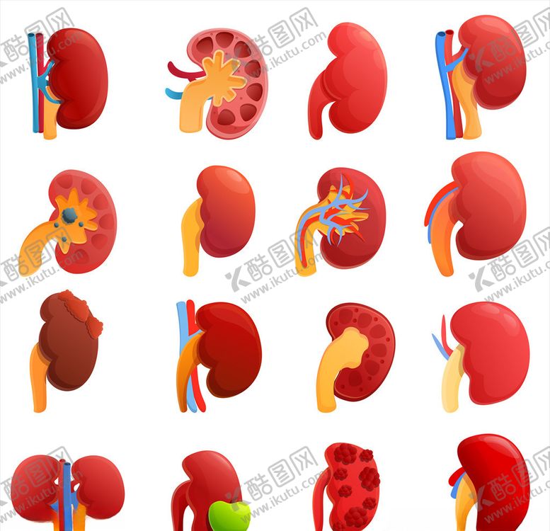 编号：13978010311737062109【酷图网】源文件下载-卡通器官