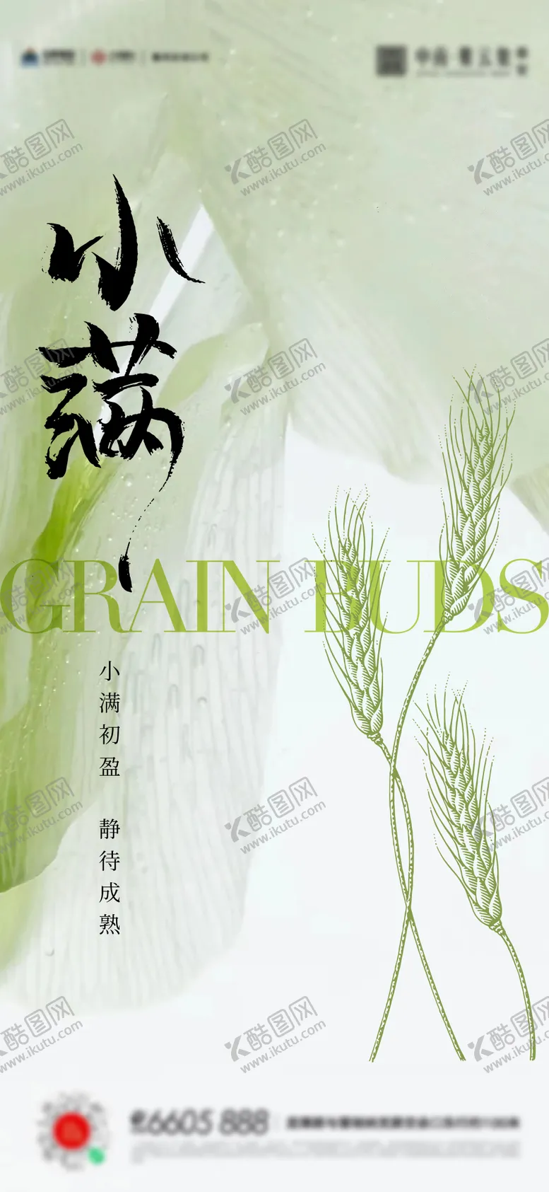 编号：69365806102325313543【酷图网】源文件下载-小满海报
