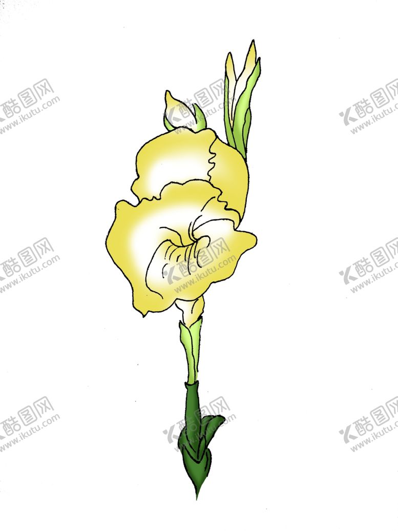 编号：44343509161729345070【酷图网】源文件下载-手绘黄色花朵