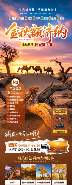 西北胡杨林额济纳旅游海报