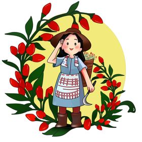 枸杞女孩