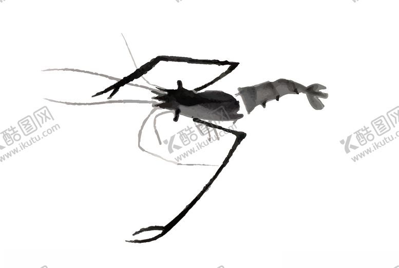 编号：88553410111018423735【酷图网】源文件下载-水墨虾