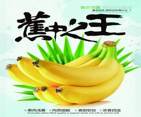 香蕉海报