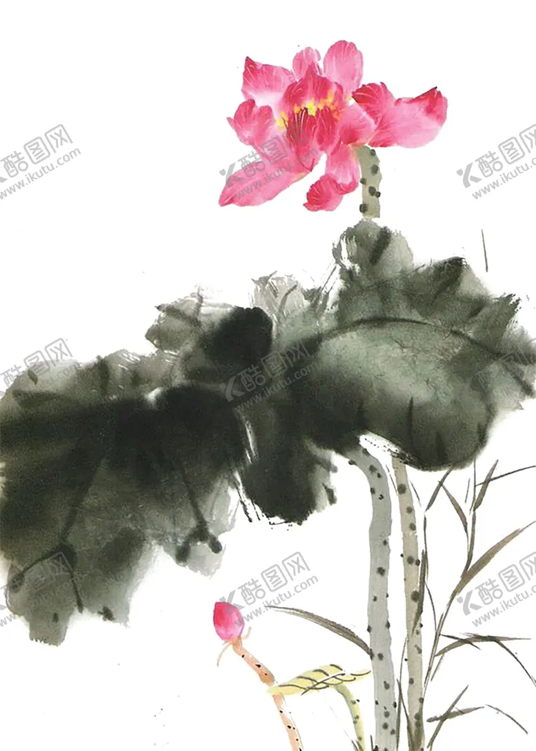 编号：80739905011842184661【酷图网】源文件下载-水墨荷花粉色荷花荷花意境