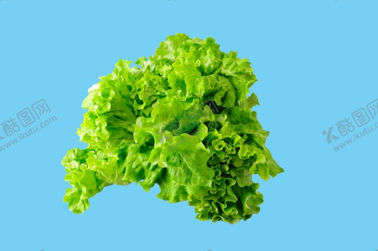 编号：50834409262129426758【酷图网】源文件下载-生菜