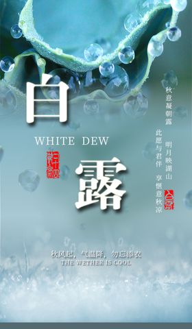 二十四节气白露