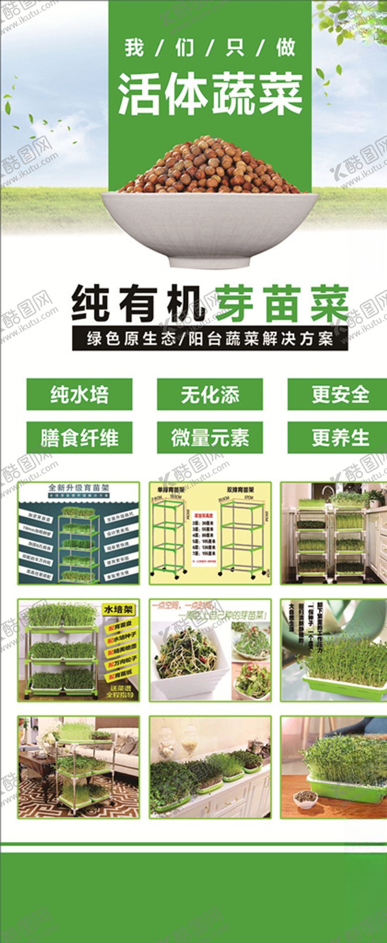 编号：15630107060639514778【酷图网】源文件下载-活体蔬菜