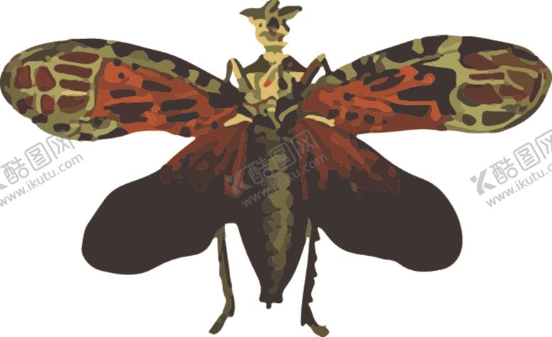 编号：64866811010041366079【酷图网】源文件下载-自然昆虫标本插画