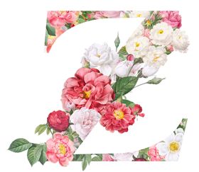 创意字母Z