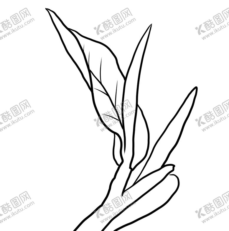 编号：79377210301003401500【酷图网】源文件下载-茶叶