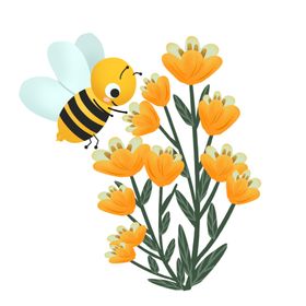正在菜花蜜的蜜蜂插画