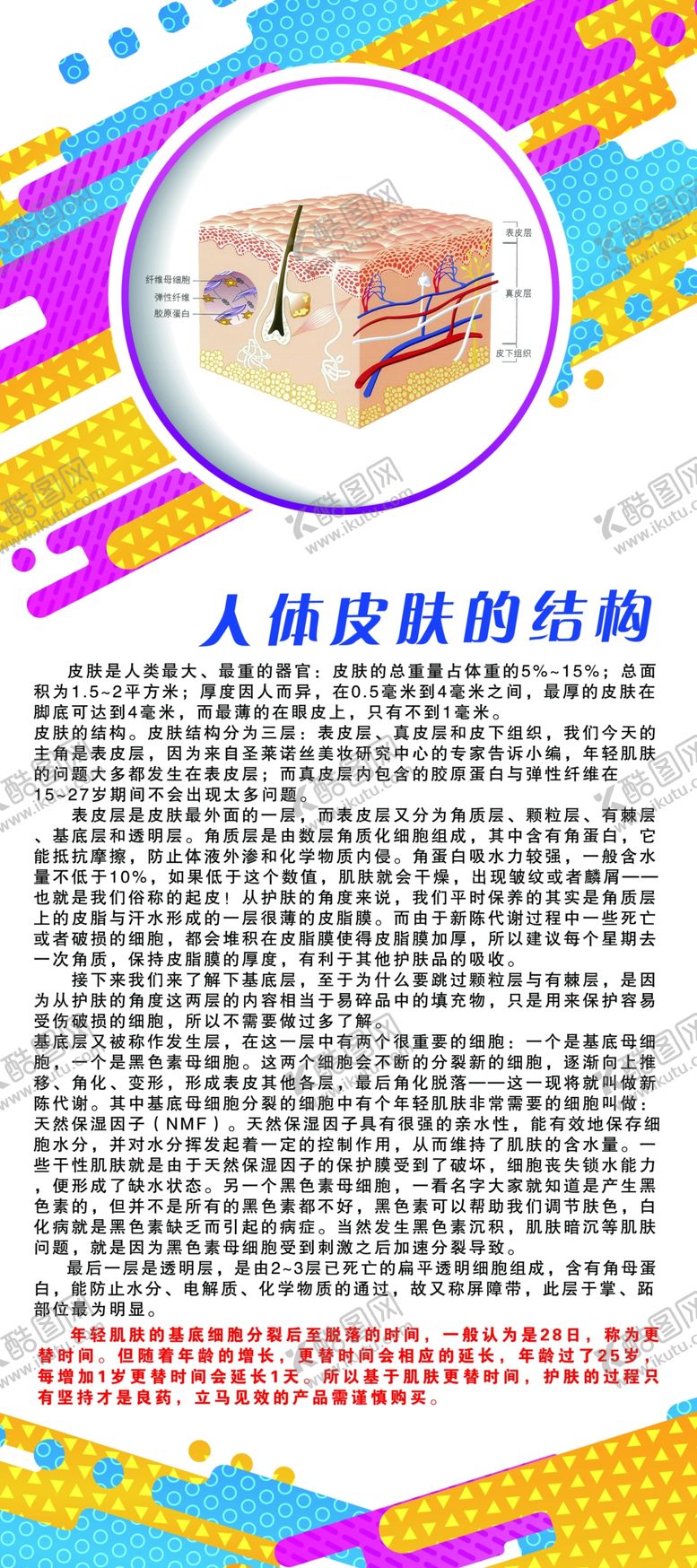 编号：73941609241909590367【酷图网】源文件下载-皮肤结构