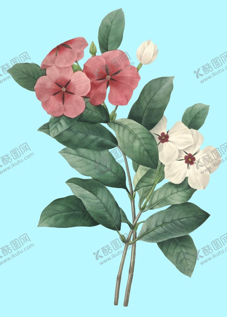 编号：48509606241915423334【酷图网】源文件下载-手绘花朵
