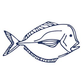 手绘海洋生物