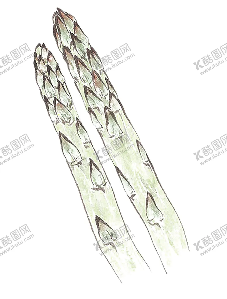 编号：58937606281847098923【酷图网】源文件下载-绿色装饰