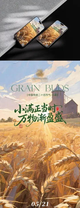 二十四节气小满海报