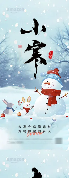 小寒大寒海报