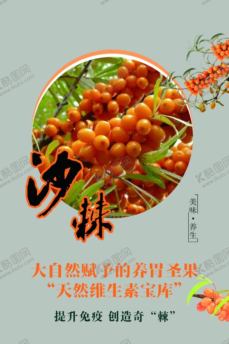 编号：64934802190458369619【酷图网】源文件下载-沙棘果
