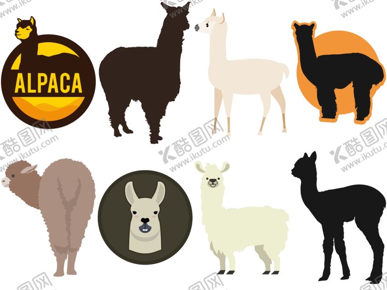 编号：58198009161205127868【酷图网】源文件下载-羊驼