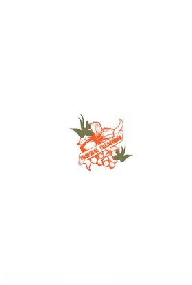 燕子印花