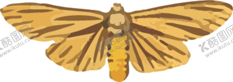 编号：99016010130104552917【酷图网】源文件下载-飞蛾昆虫插画