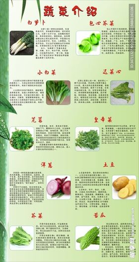 蔬菜介绍
