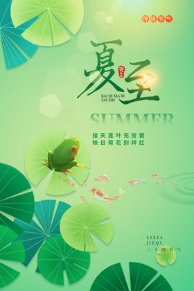 夏至时节荷叶上的青蛙