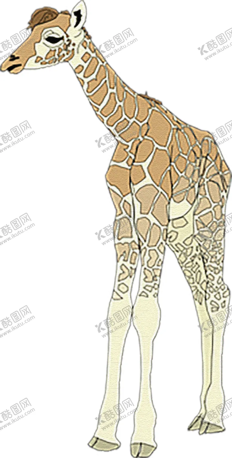 编号：70354609130404409142【酷图网】源文件下载-长颈鹿免抠