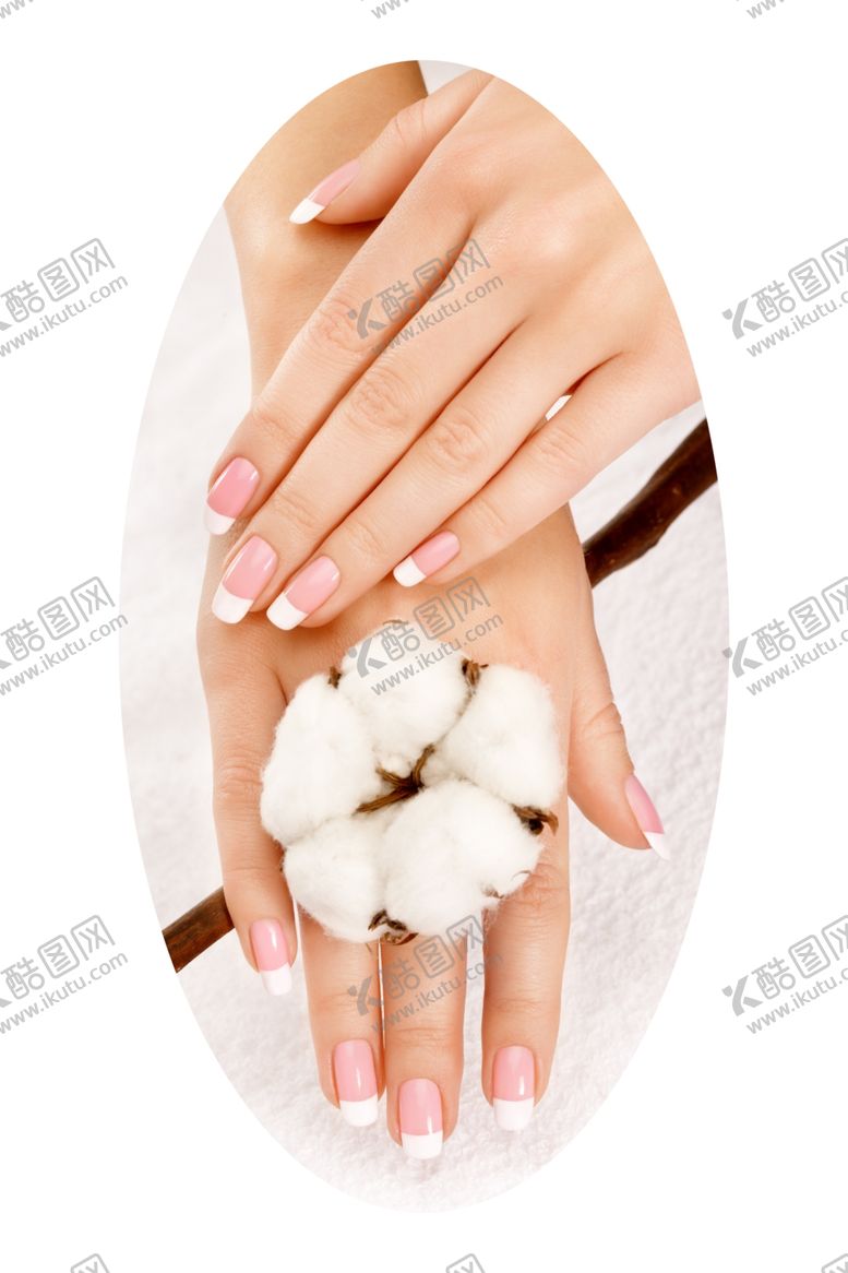 编号：79626909181019079959【酷图网】源文件下载-棉花