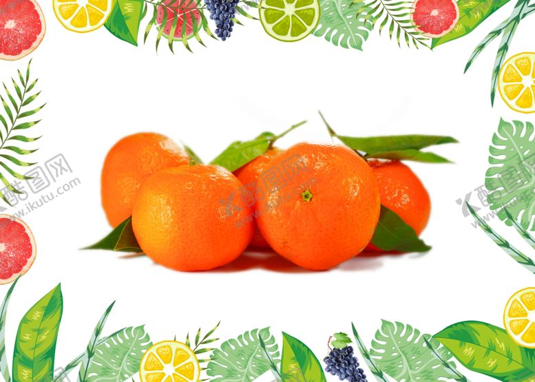 编号：13460110200225441002【酷图网】源文件下载-橘子