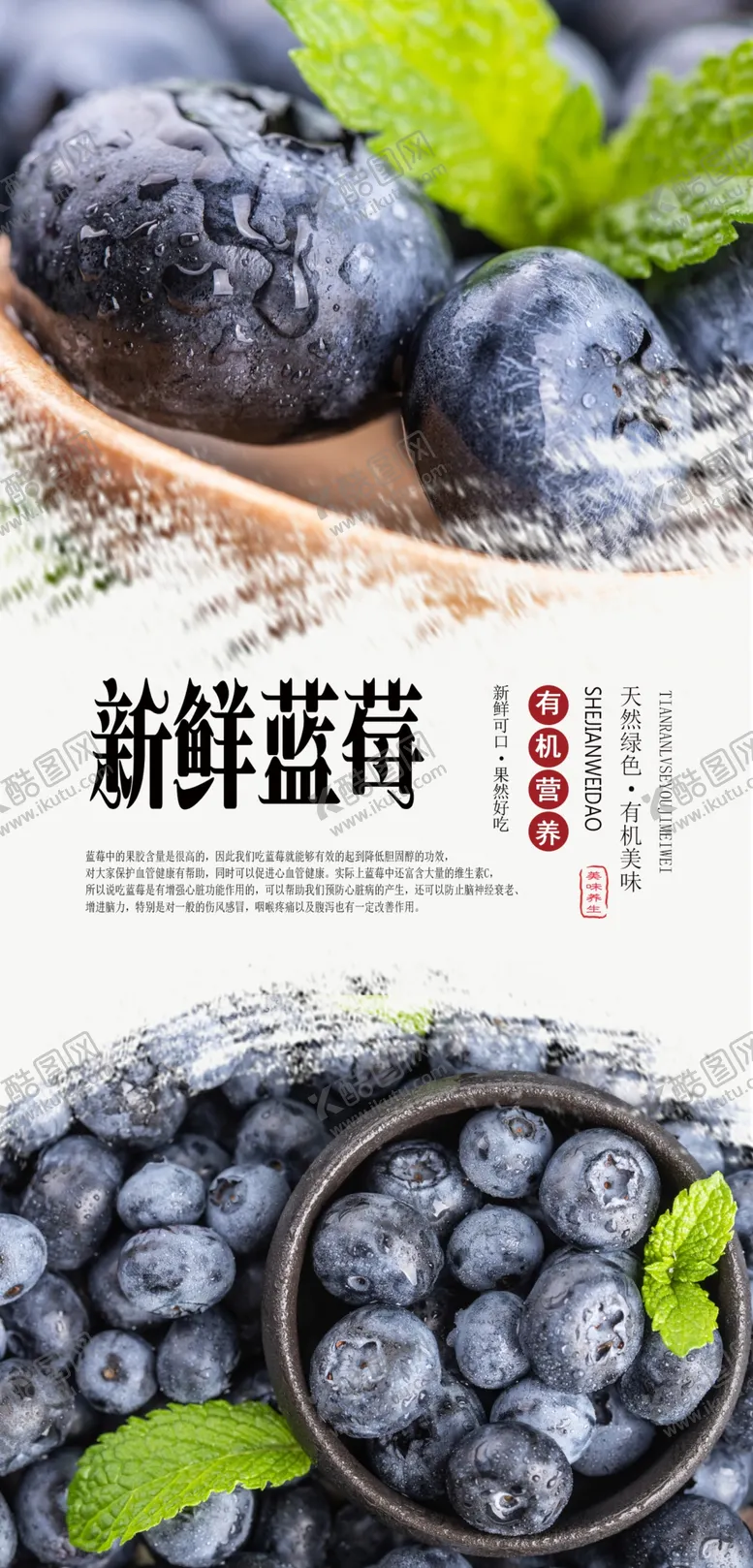 编号：34384506281956429209【酷图网】源文件下载-蓝莓水果海报