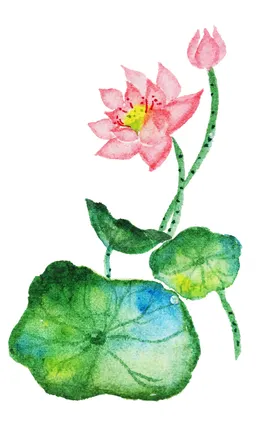 荷花元素