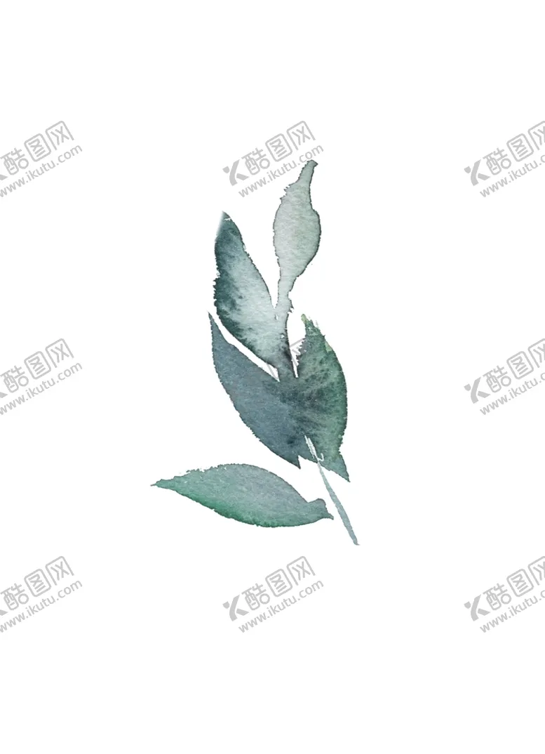 编号：81593111041234565896【酷图网】源文件下载-花叶 