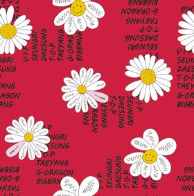 菊花字母