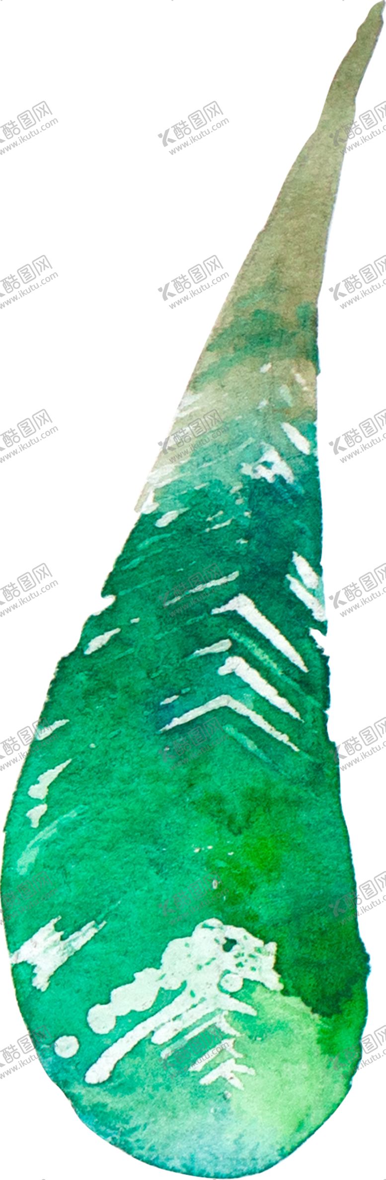 编号：98070609200240464690【酷图网】源文件下载-手绘水彩羽毛