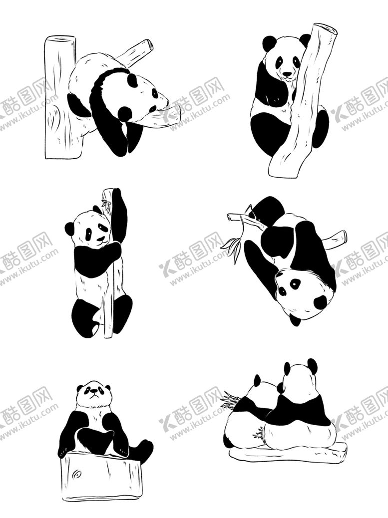 编号：66537209191137231758【酷图网】源文件下载-卡通熊猫