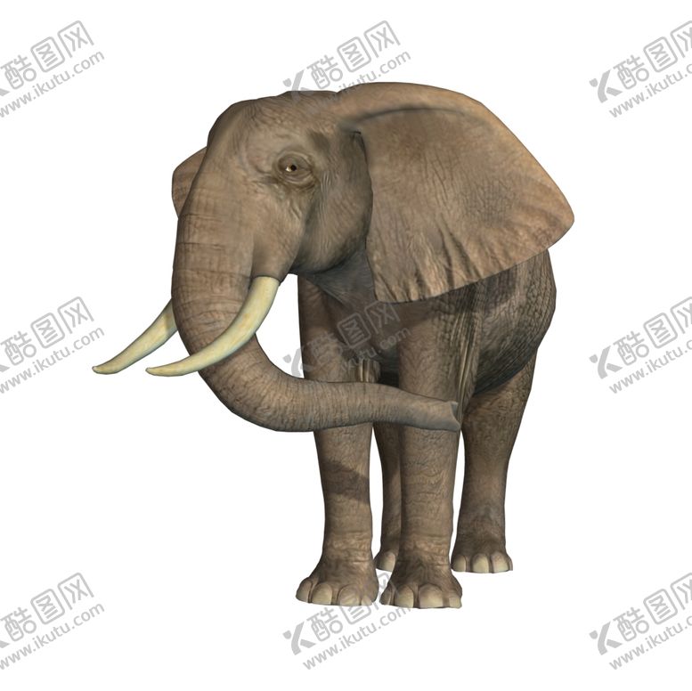 编号：30157710290317481853【酷图网】源文件下载-大象